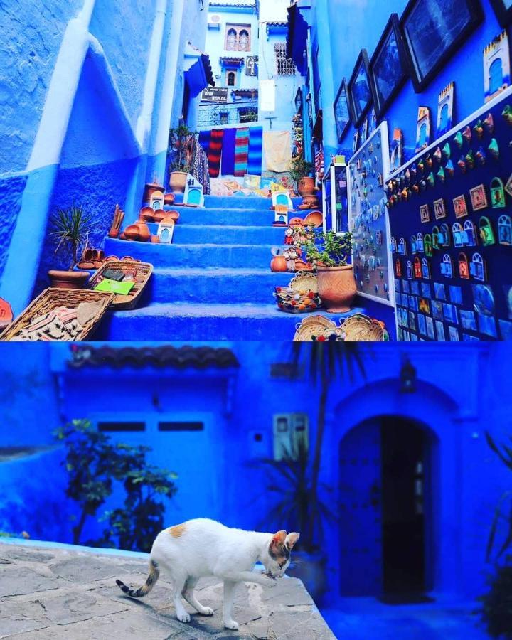 Ferienwohnung Casa Dreams Chaouen Chefchaouen Exterior foto